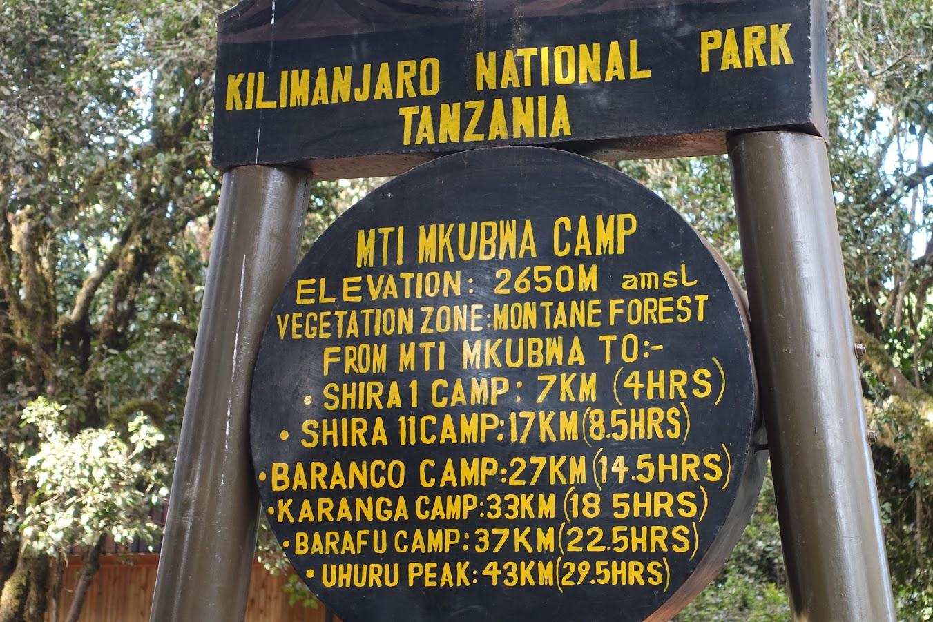 Mti Mkubwa Camp