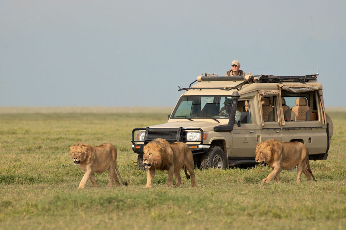Serengeti National Park