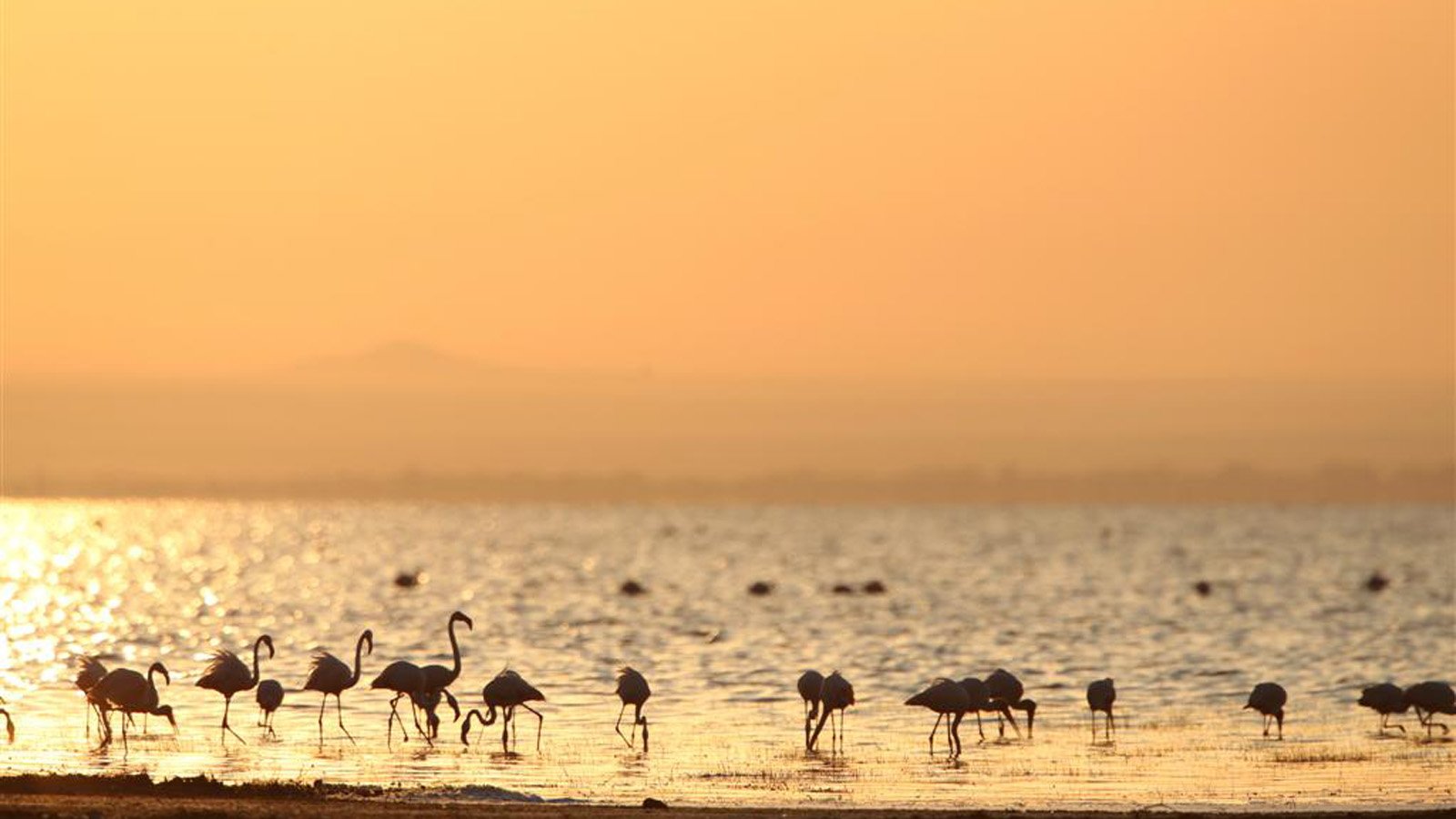 lake-manyara