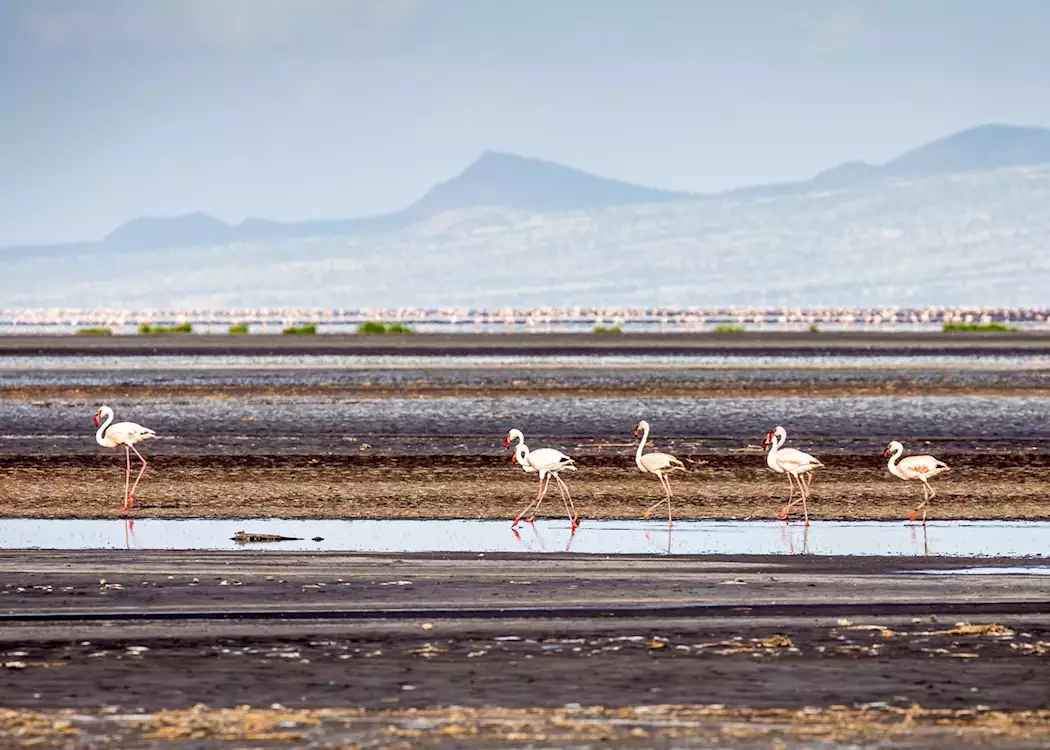 15999749-lake-natron-tanzania