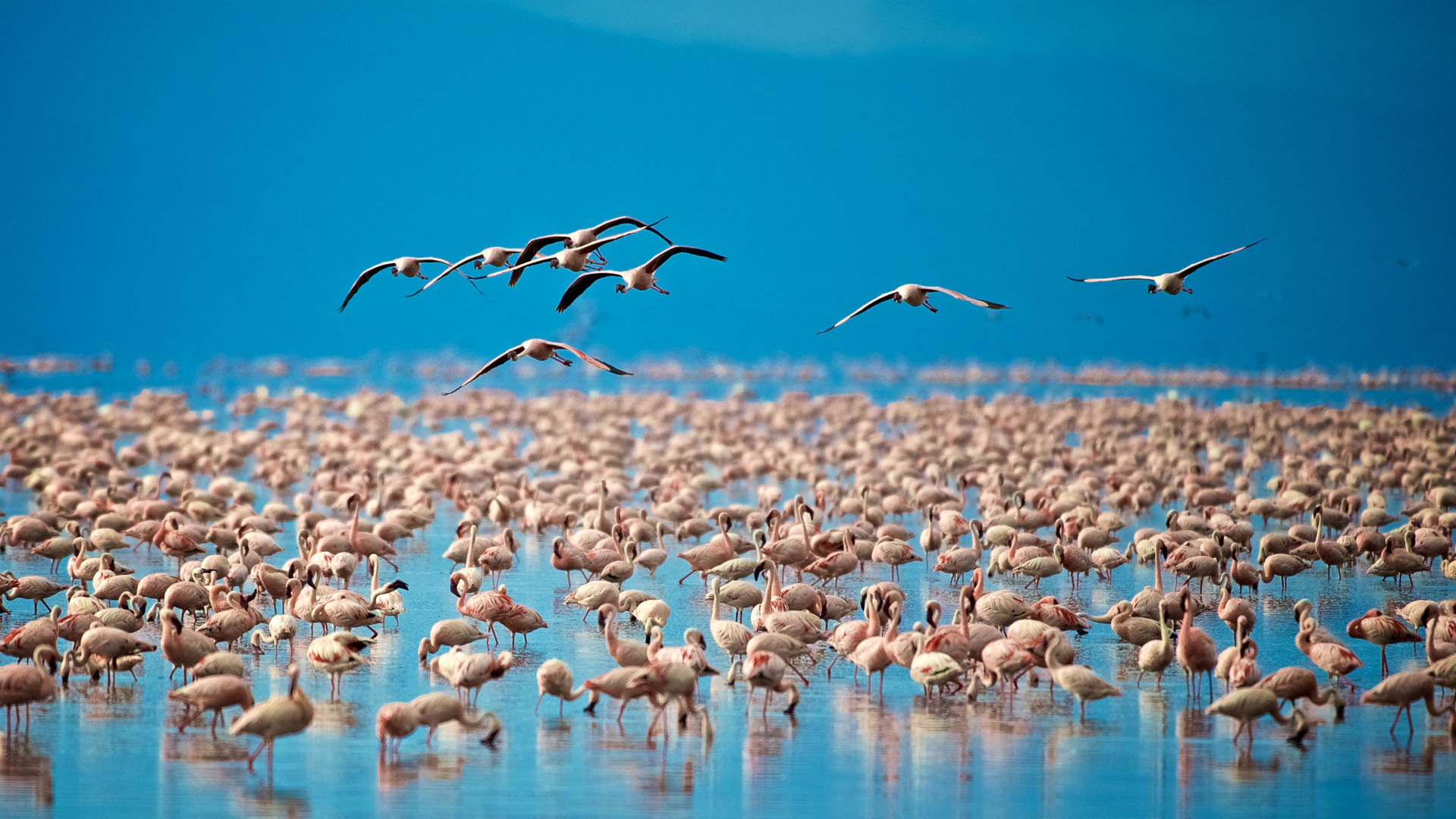 lake-manyara-national-park-banner