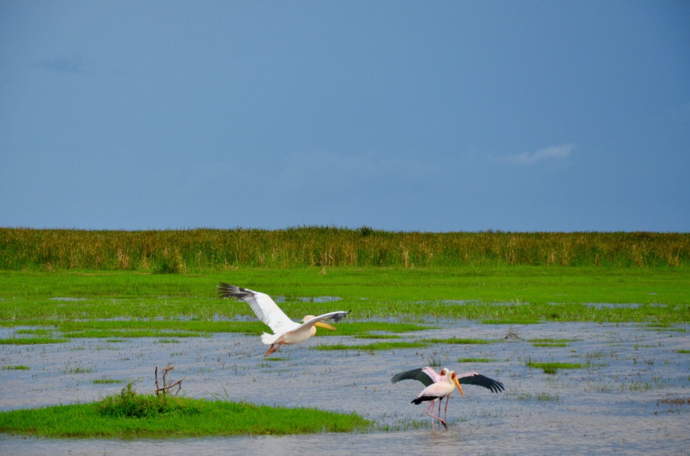 the-first-day-of-our-safari-brings-us-to-lake-manyara-national-park-02